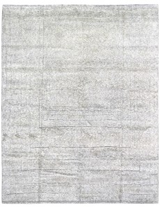 AM11900
